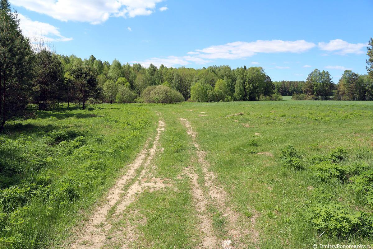Источник в честь Казанской Божьей Матери в д.Бетино