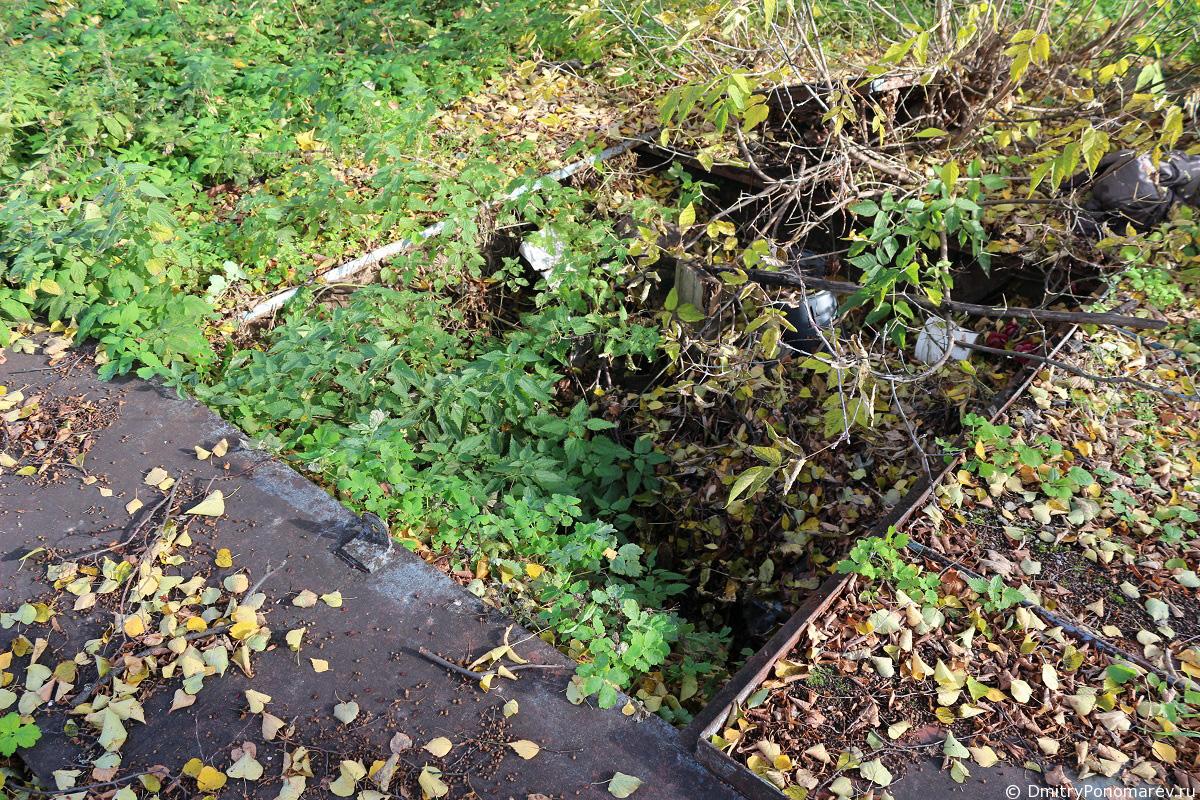 Покровская церковь в Городце