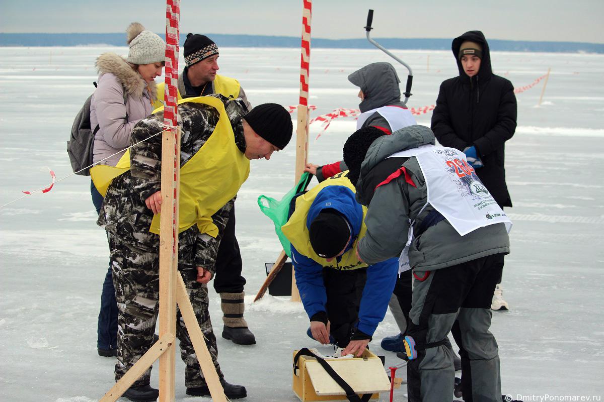 Фестиваль Чкаловская рыбалка - 2020