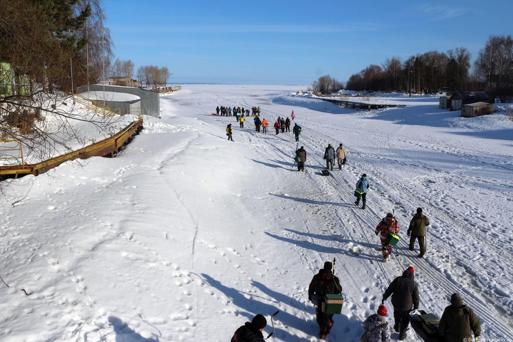 Сокольская рыбалка 2021