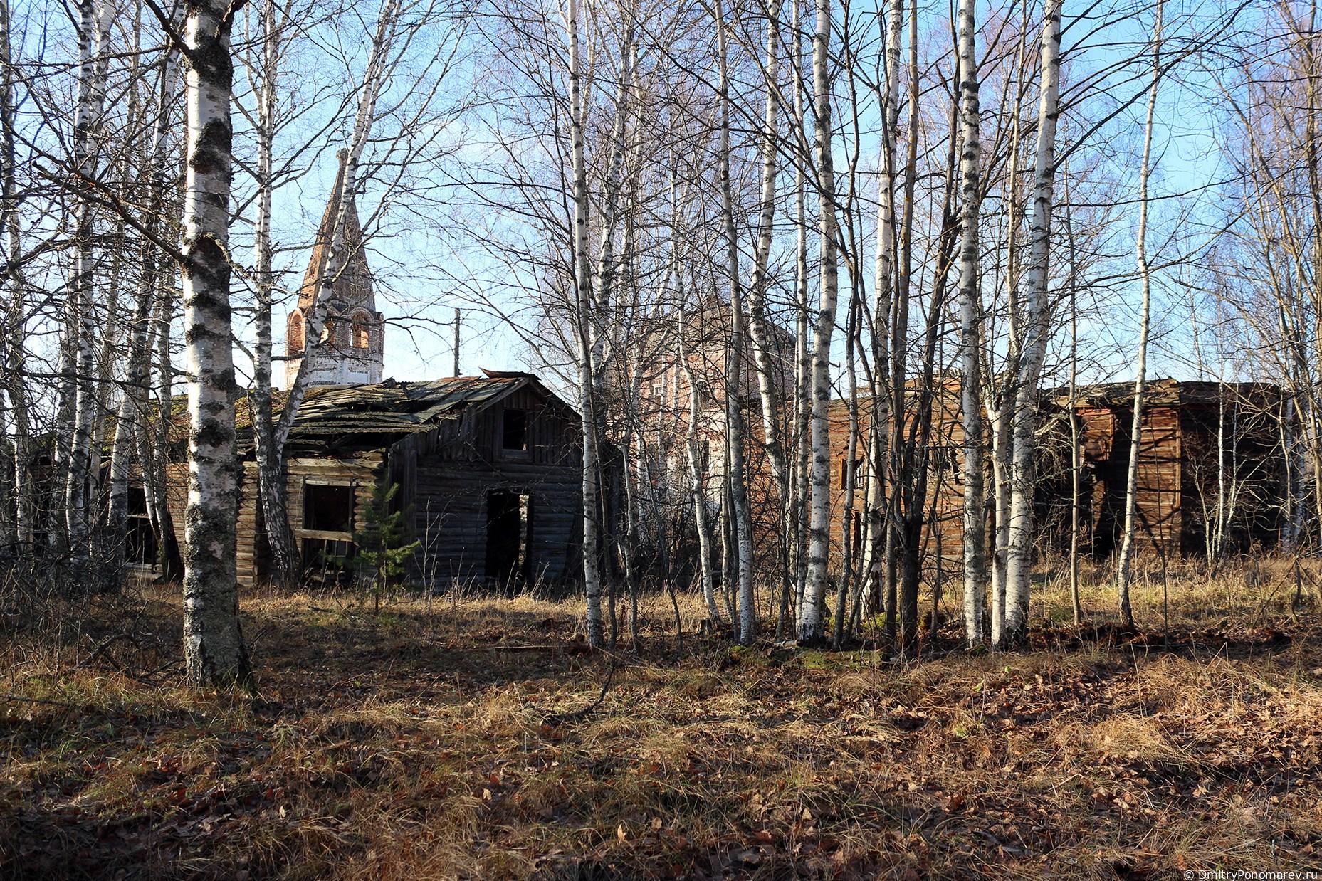 Рождественская церковь в селе Гари