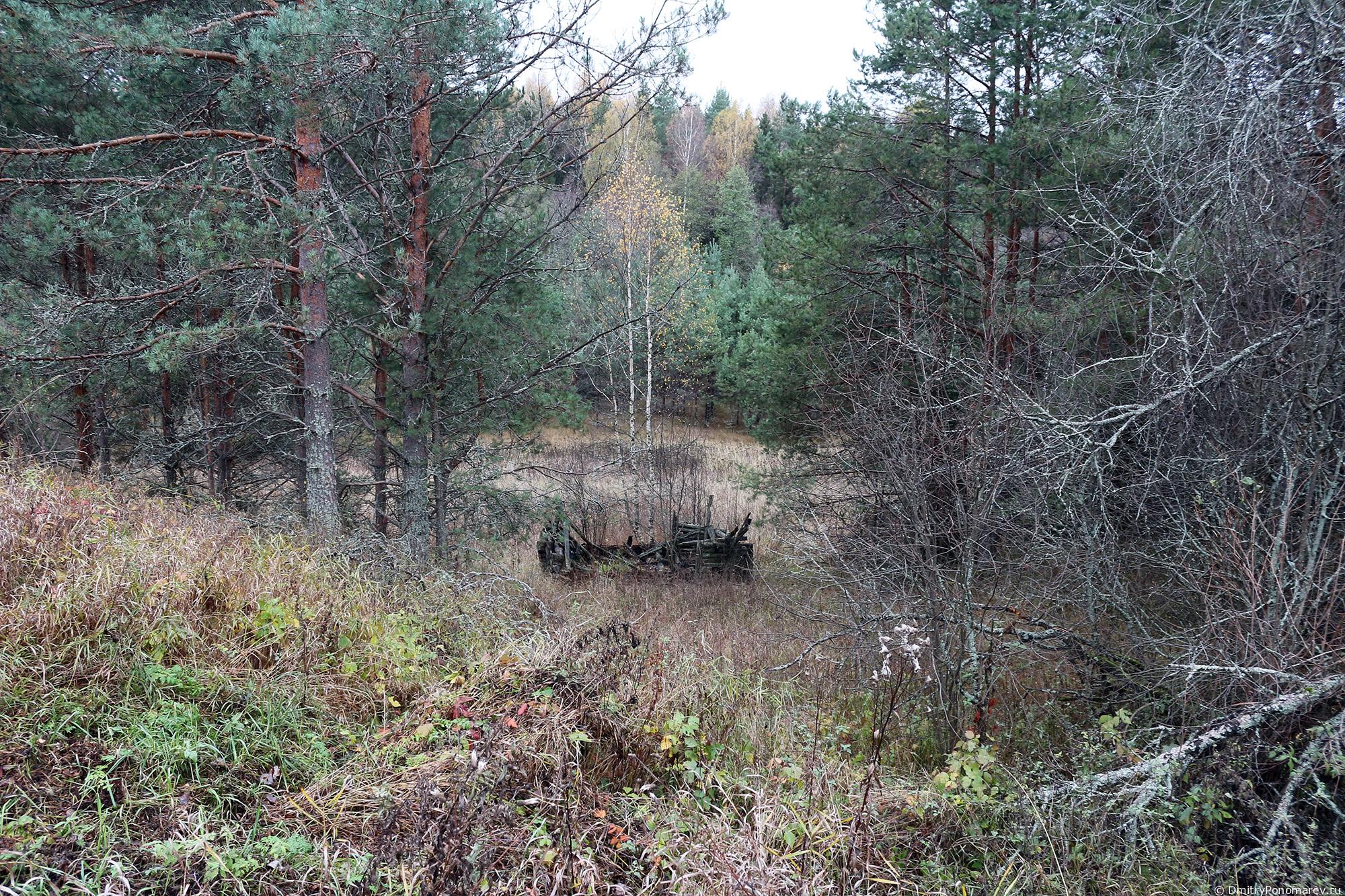 Деревня Тренино