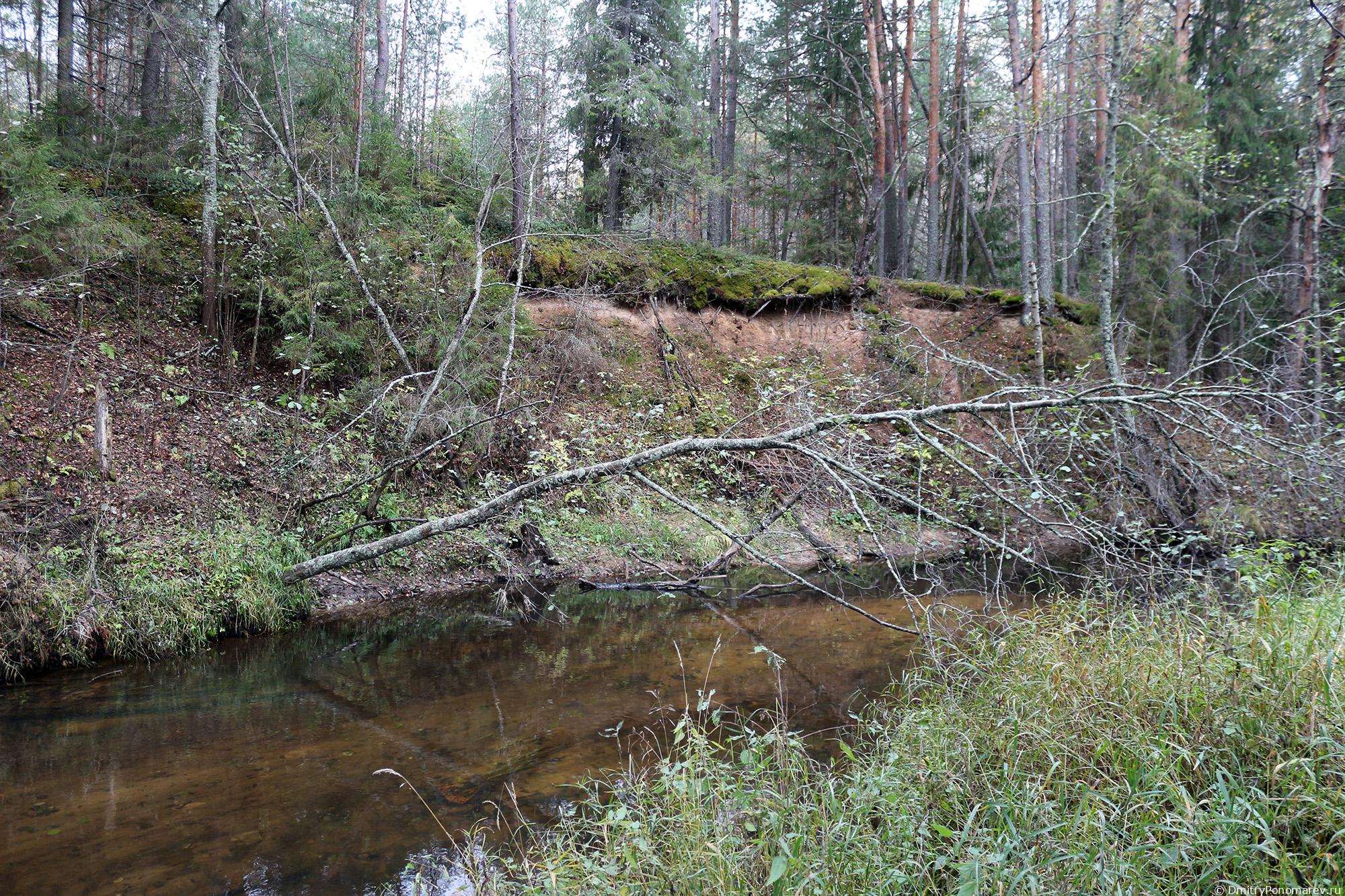 Деревня Тренино