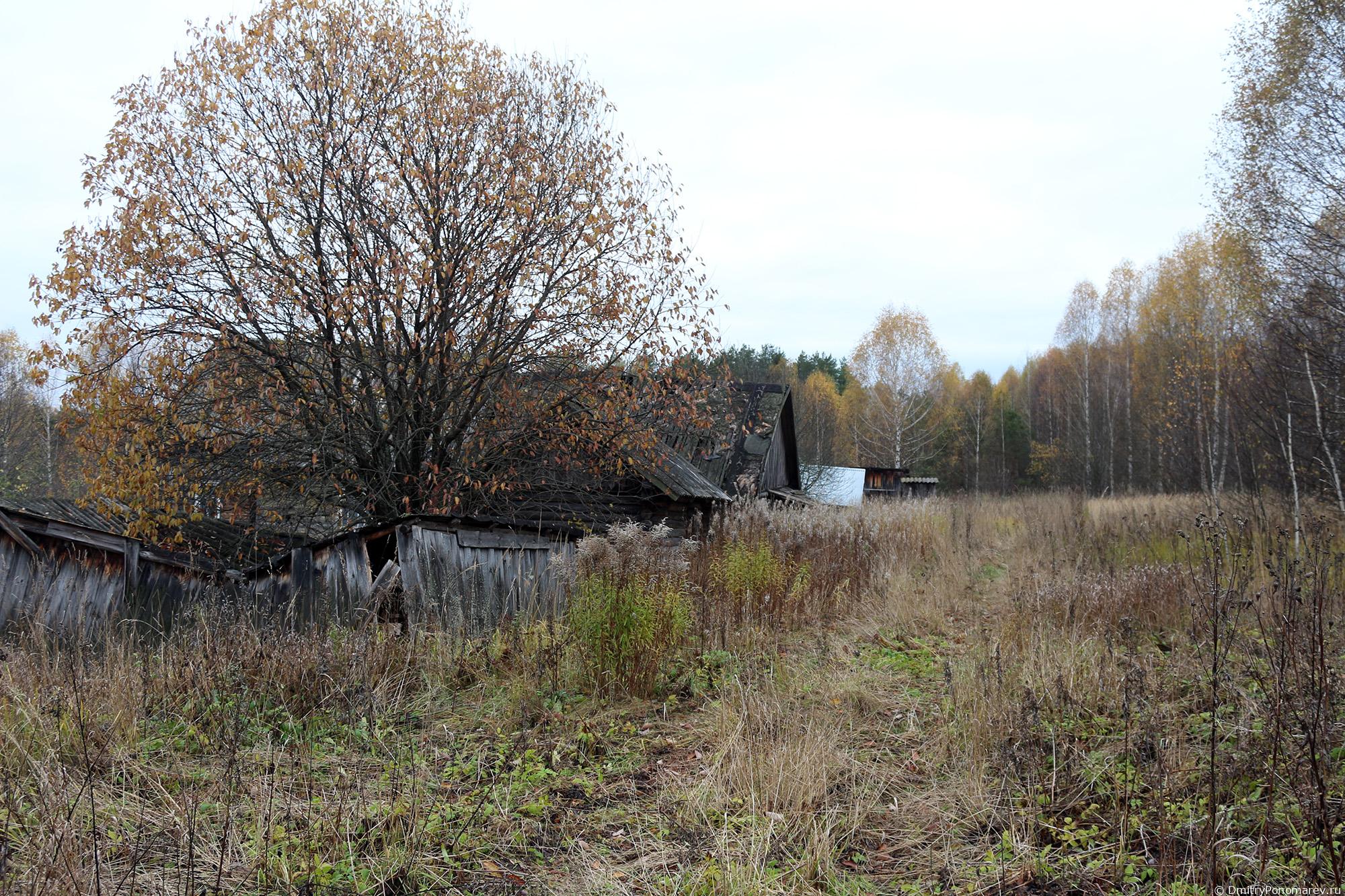 Деревня Тренино