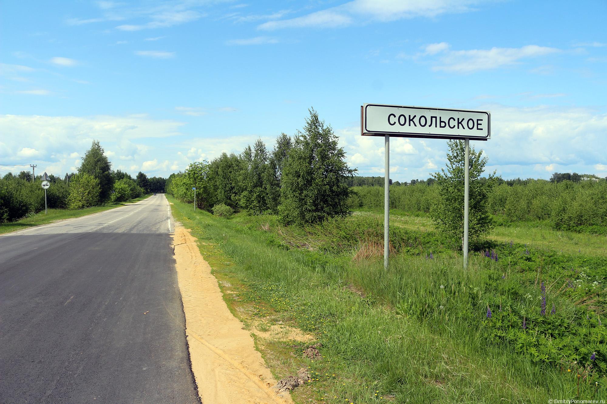 Сокольское